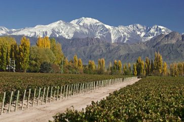 mendoza mendoza